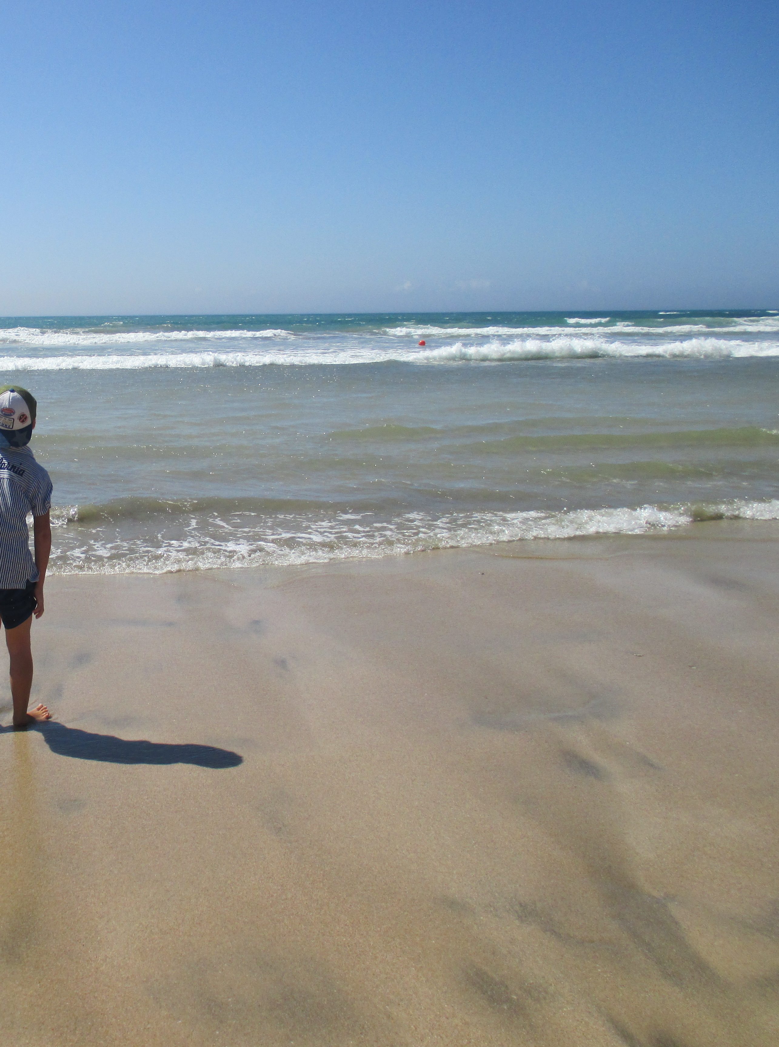 YUJI OHARA'S WEB SITE